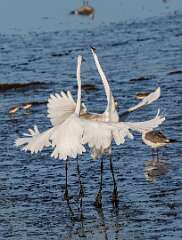 71: MarkShelly_2025-208