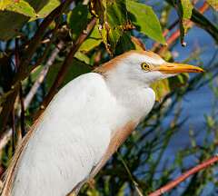 92: MarkShelly_2025-210