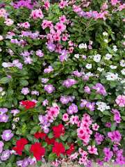 105: MikeGlass_2025-21