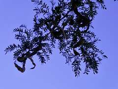 138: MikeGlass_2025-22