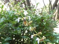 76: MikeGlass_2025-23