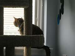 99: MikeGlass_2025-24