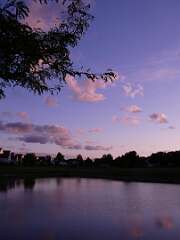 77: MikeGlass_2025-28