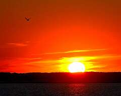 164: Xue-MingBao_2025-11