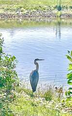 37: jenCurcione_2025-47