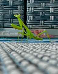 27: jenCurcione_2025-48