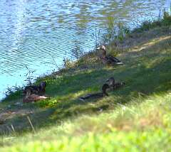 25: jenCurcione_2025-52