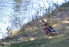 156: jenCurcione_2025-53