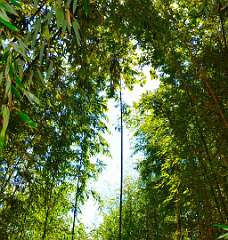 137: wendyTao_2025-24