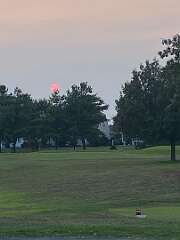 86: BerniceBailine_2025-31