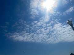 131: BerniceBailine_2025-34