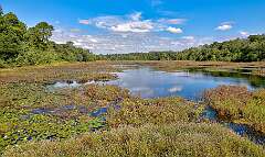 139: BillKirms_2025-218