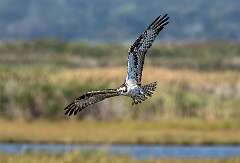 114: BillKirms_2025-228