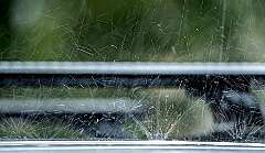 40: BillKirms_2025-231