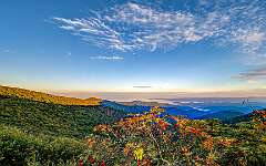 84: BillKirms_2025-234