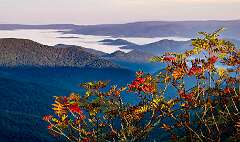 144: BillKirms_2025-235