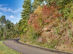 82: BillKirms_2025-236