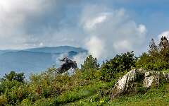 141: BillKirms_2025-238