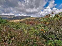 13: BillKirms_2025-239