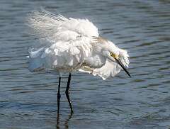 5: BillKirms_2025-243