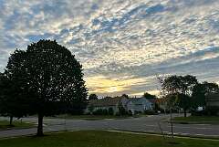 4: CarolAnnManfria_2025-21