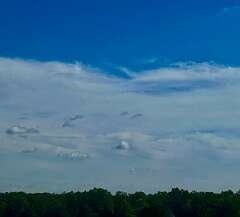 125: CarolAnnManfria_2025-22