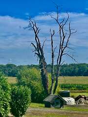 67: CarolAnnManfria_2025-23