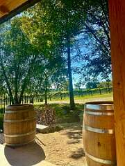 12: CarolAnnManfria_2025-24