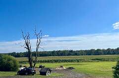 73: CarolAnnManfria_2025-25