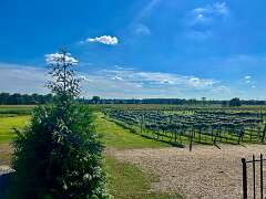 49: CarolAnnManfria_2025-26