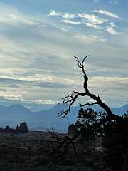 113: DavidWolk_2025-41