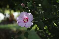 24: DonManfria_2025-226