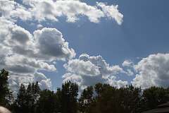 100: DonManfria_2025-227