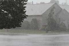 19: DonManfria_2025-229