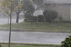 56: DonManfria_2025-231