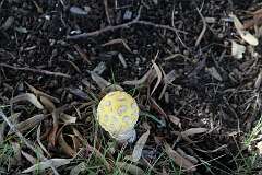 46: DonManfria_2025-233