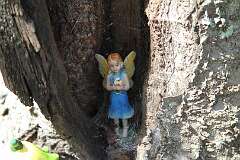 8: DonManfria_2025-235