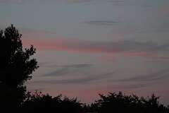 120: DonManfria_2025-238