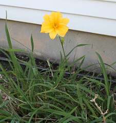 136: DonManfria_2025-243