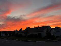 106: DonManfria_2025-247