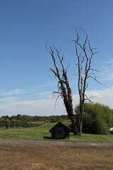 118: DonManfria_2025-249