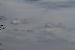 80: DonManfria_2025-250