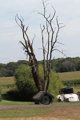 14: DonManfria_2025-251