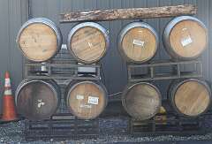 2: DonManfria_2025-253