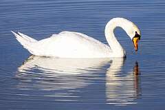 18: ErnieStandard_2025-14