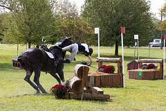 69: ErnieStandard_2025-16