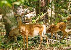 92: MarkShelly_2025-213