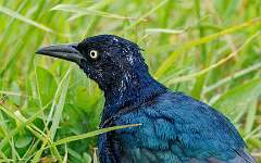 143: MarkShelly_2025-217