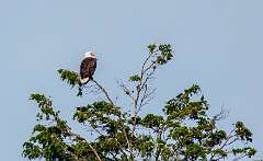 112: MarkShelly_2025-219