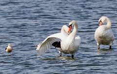 22: MarkShelly_2025-230